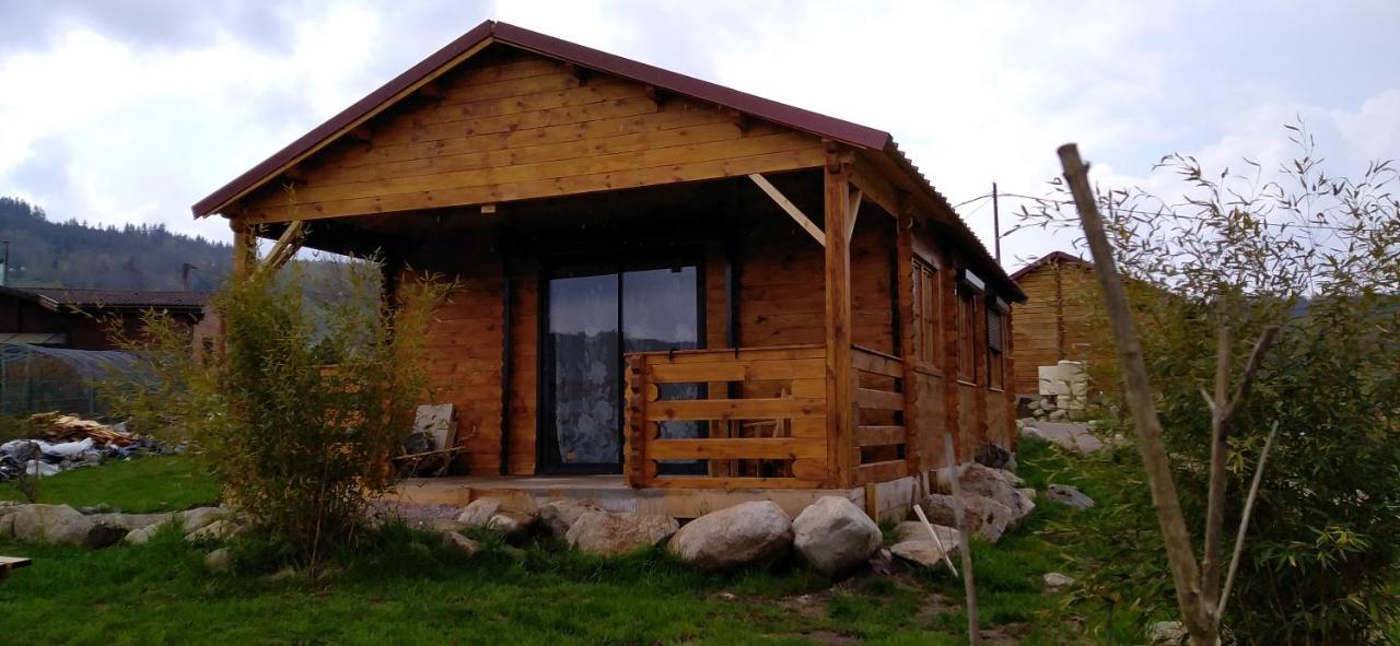 Chalets Les 5 Loups Gerbépal Exterior foto